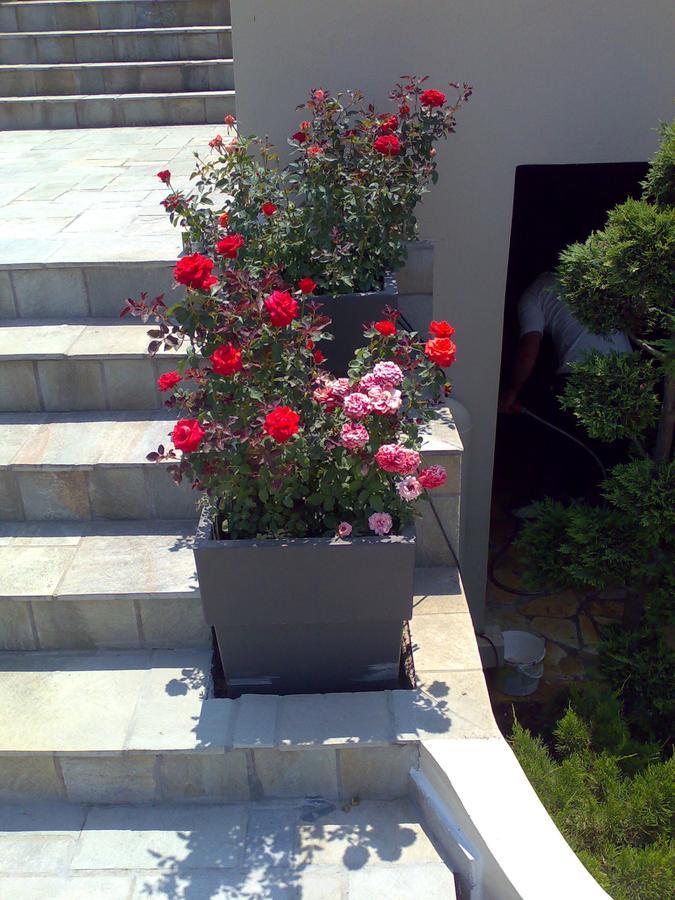 Villa Markos Mítikas Exterior foto